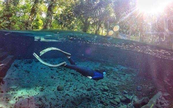 Segarnya Mata Air Alami Sendang Maren di Magelang