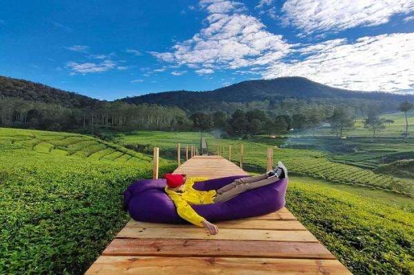 6 Wisata Kebun Teh Bandung Paling Indah dan Terpopuler