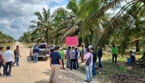 5 Profil Perusahaan Sawit Milik Koruptor Surya Darmadi 5 Profil Perusahaan Sawit Milik Koruptor Surya Darmadi