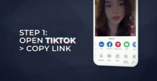 Snaptik TikTok Bisa Download Video Tanpa Watermark,  Begini Cara Pakainya