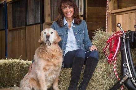 Kisah Sukses Diane Hendricks, Wanita Desa Berharta USD11 Miliar