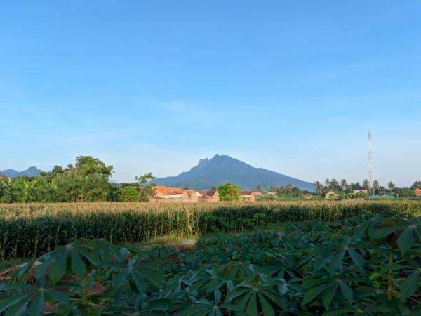 Melihat Keindahan Gunung Ringgit Situbondo, Bentuknya Mirip Putri Tidur Melihat Keindahan Gunung Ringgit Situbondo, Bentuknya Mirip Putri Tidur