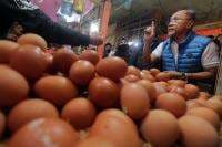 Telur Dan Ayam Naik Zul Jawab Serius Dan Bercanda