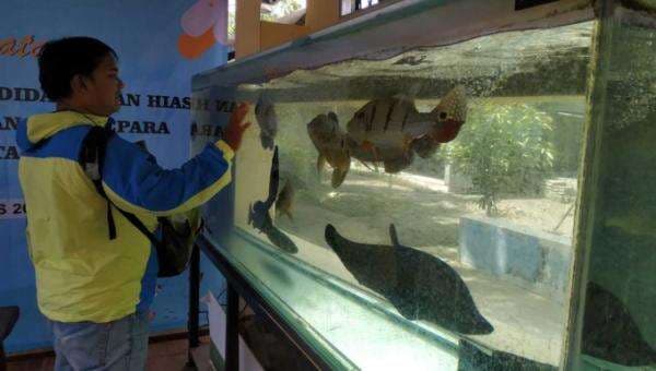 Andalan, Ikan Pedang Diekspor ke Amerika dan Korea