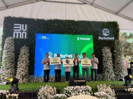 Kementerian BUMN Merger Anak Usaha Perhutani, Siap Bersaing di Pasar Global