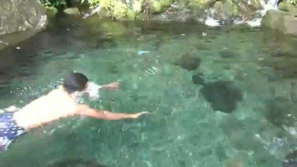 Sendang Geulis Kahuripan, Surga Tersembunyi di Cikalongwetan KBB, Airnya Sebening Kristal