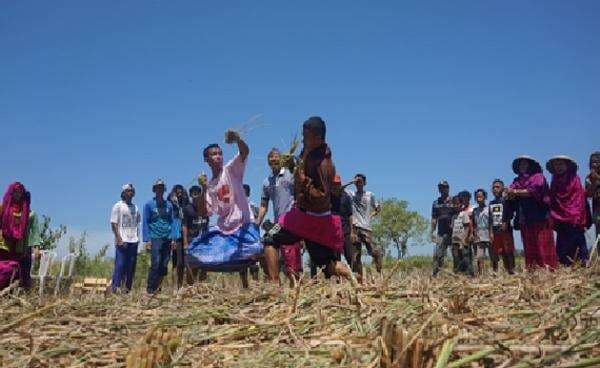 Permainan Barempuk, Wujud Syukur Petani Sumbawa Permainan Barempuk, Wujud Syukur Petani Sumbawa