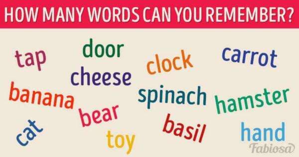 Tes Psikologi: Tes Ini Menguji Memori Anda, Berapa Banyak Kata yang Anda Kelola untuk Diingat?