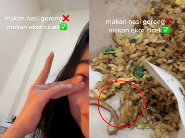 Duh, Cewek Ini sampai Nangis saat Temukan Ekor Cicak dalam Nasi Goreng: Trauma Banget!