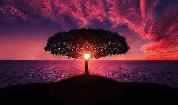 "Sirna Ilang Kertaning Bumi" Makna Sengkalan Jawa Berhubungan dengan Runtuhnya Majapahit