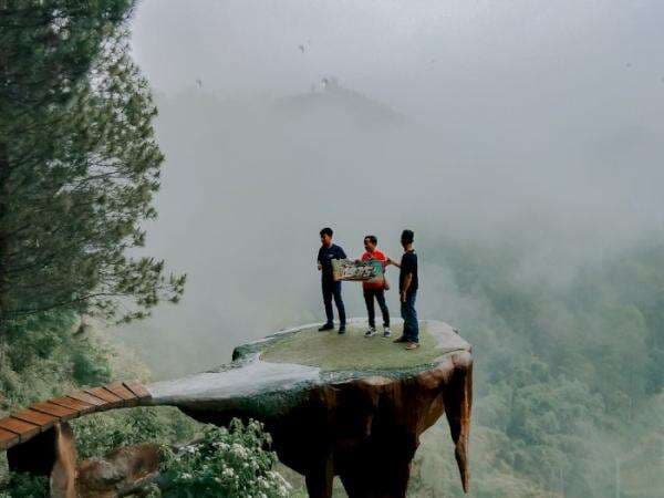 Goa Pinus Pujon, Rekomendasi Wisata di Kota Batu yang View-nya Mengagumkan Goa Pinus Pujon, Rekomendasi Wisata di Kota Batu yang View-nya Mengagumkan