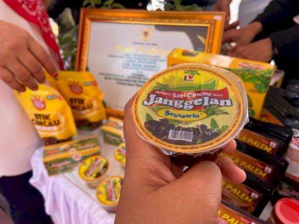 Geger Bisnis Cincau Hitam, Modal Rp100 Ribu Untungnya Rp1 Miliar, Begini Caranya!