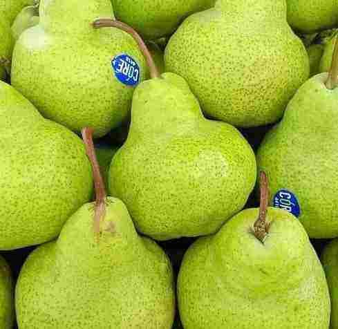 Bestie Tahukah Kamu, Manfaat Konsumsi Pir Hijau Setiap Hari, Salah Satunya bisa Menurunkan Berat Badan lho!