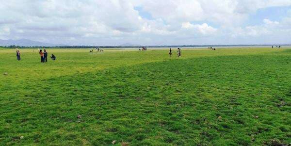 Mengunjungi Sabana Bale Tepak di Desa Penujak, Lombok Tengah yang Viral