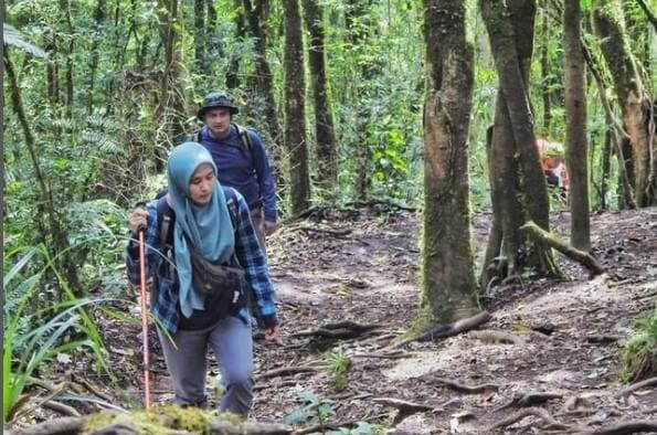 Jalur Pendakian Baru Gunung Ciremai  Diminati Pendaki, Sajikan Padang Savana di Ketinggian 2.670 Mdpl