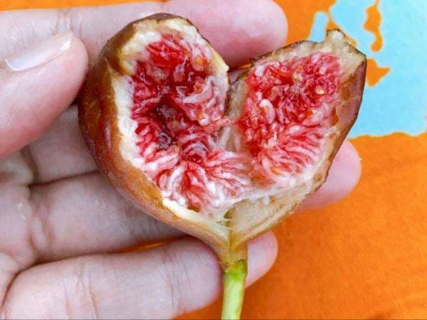 Disebutkan dalam Al-Qur'an, Buah Tin Dijual di Supermarket Amerika, Harganya Luar Biasa!