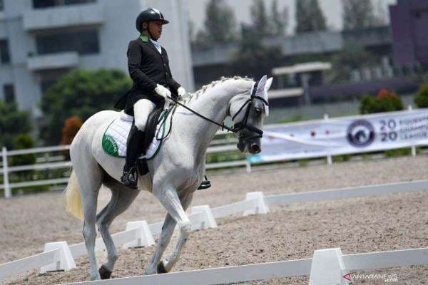 Tips Belajar Berkuda, Dijamin Cepat Mahir