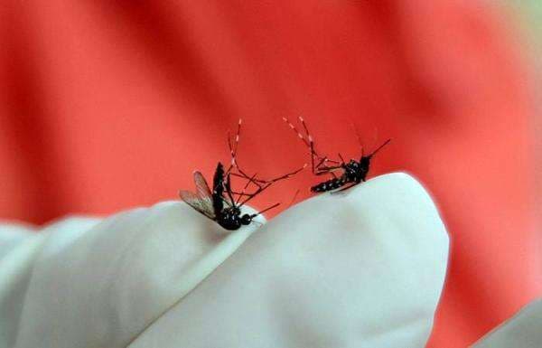 BPOM Terbitkan Izin Vaksin Qdenga untuk Penyakit Dengue, Ini Efek Sampingnya BPOM Terbitkan Izin Vaksin Qdenga untuk Penyakit Dengue, Ini Efek Sampingnya