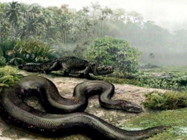 Rupanya Ular Zaman Dulu Ada yang Pernah Makan Bayi Dinosaurus, Ular Apa Ya? Rupanya Ular Zaman Dulu Ada yang Pernah Makan Bayi Dinosaurus, Ular Apa Ya?