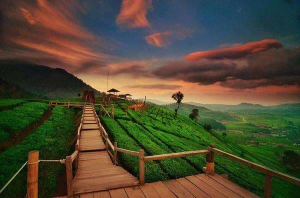 Wisata ke Wayang Windu Panenjoan, Nikmati Sunset Terindah di Pangalengan