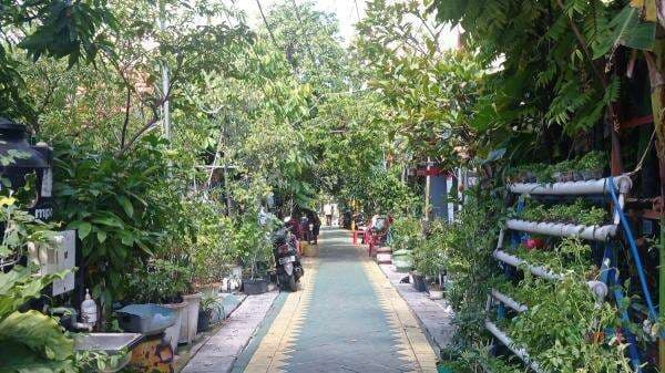 Kampung Oase Ondomohen, Wisata di Surabaya yang Punya Cerita Panjang