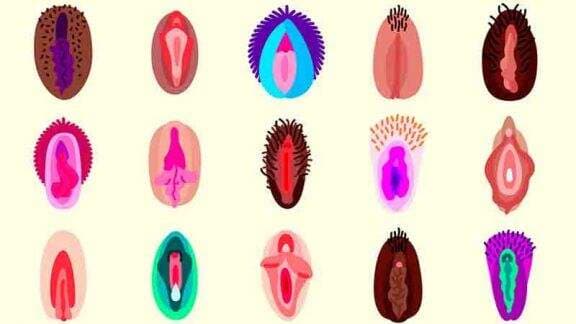 5 Bentuk Vagina yang Paling Umum, Nomor 3 Kok Dianggap Paling Jelek?