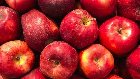 Jangan Nyesal! Ini 9 Manfaat Buah Apel untuk Kesehatan Tubuh, Gak Nyangka Bisa Hempas Penyakit Mematikan Ini!
