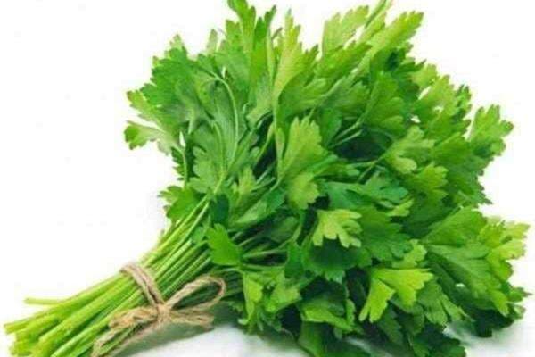 Mirip Seledri, Ini Sederet Manfaat Daun Ketumbar untuk Kesehatan