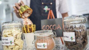 Dari Kakao Sampai Cokelat: Barry Callebaut Melihat Momentum Pertumbuhan Positif di Indonesia