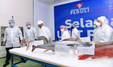 Ini Harapan Pihak Pengolah Ikan PT SIS Tual atas Kunjungan Presiden Jokowi