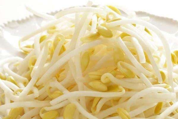 12 Manfaat Kecambah atau Toge Khusus untuk Pria, Salah Satunya Meningkatkan Kesuburan