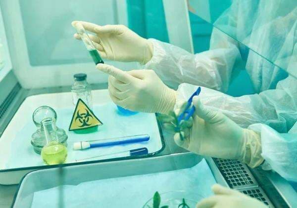 Kloning adalah Proses Reproduksi Aseksual, Ini Pengertian dan Macam-macam