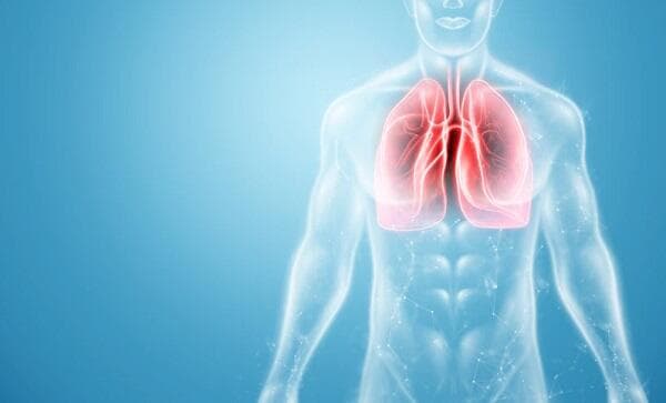 Lakukan 3 Cara Menjaga Organ Pernapasan Agar Tetap Sehat