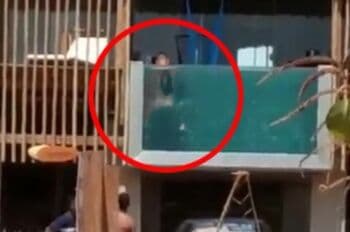 Sepasang Turis Asyik Bercinta di Kolam Renang Transparan, Jadi Tontonan Banyak Orang