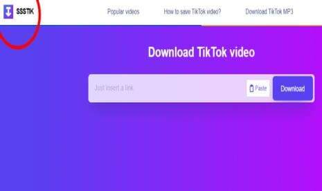 SSSTikTok:Tidak Perlu Instal Aplikasi, Download Video TikTok Kualitas HD Tanpa Watermark