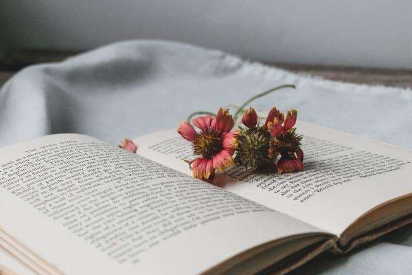 Sinopsis Novel Mariposa, Kisah Mengejar Cinta