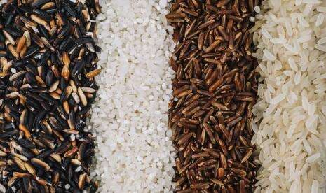 Dari Berbagai Jenis Beras, Mana yang Paling Sehat?