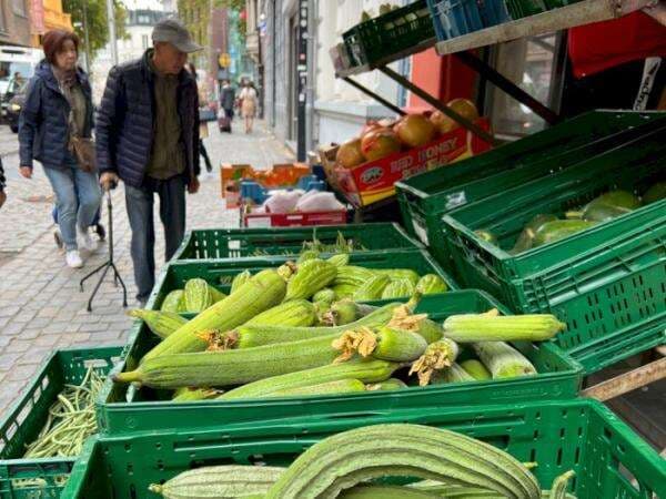 Jangan Kaget! Di Belgia Harga Kacang Panjang Lebih Mahal dari 2 Kopi Starbucks
