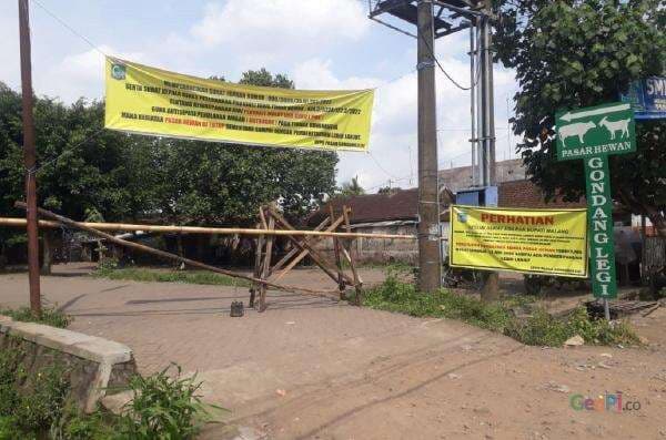 Peternak Senang, Pasar Hewan di Kabupaten Malang Kembali Beroperasi