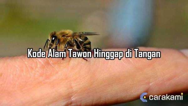 5 Kode Alam Tawon Hinggap di Tangan yang Perlu di Ketahui