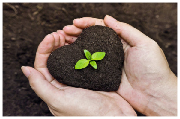 Jumat Wage Bisa Bahagia dan Sejahtera, Ini Pekerjaan yang Cocok Menurut Primbon Jawa