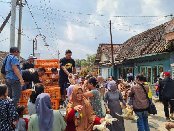 Harga Ayam Dijual Rp 13.000 Per Kilo, Peternak Bagikan Ayam Gratis