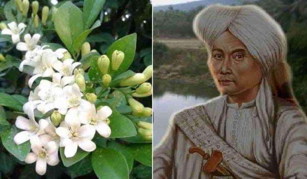 Diponegoro Meninggalkan Jejak Pohon Kemuning