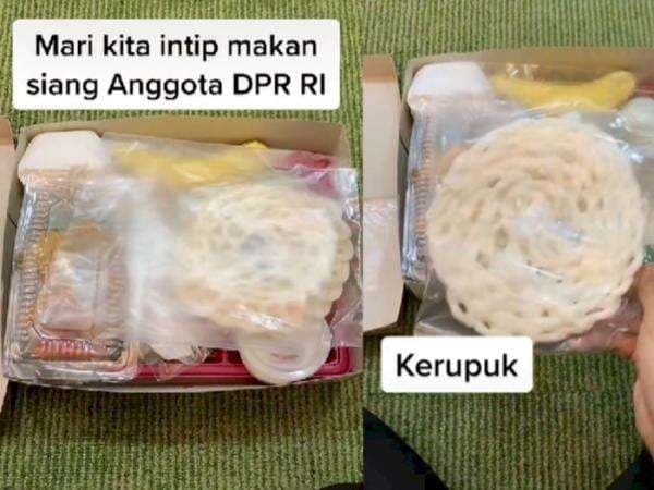 Viral, Wanita Spill Nasi Kotak Makan Siang Anggota DPR RI saat Rapat, Apa Aja Isinya?