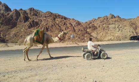 Saat Rasulullah Bertemu Para Jin