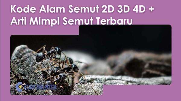 Kode Alam Semut 2D 3D 4D + Arti Mimpi Semut Terbaru Kode Alam Semut 2D 3D 4D + Arti Mimpi Semut Terbaru