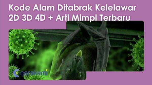 10+ Kode Alam Ditabrak Kelelawar 2D 3D 4D + Arti Mimpi Terbaru