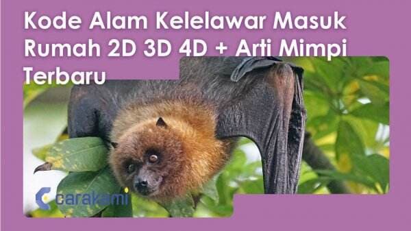 10+ Kode Alam Kelelawar Masuk Rumah 2D 3D 4D + Arti Mimpi Terbaru