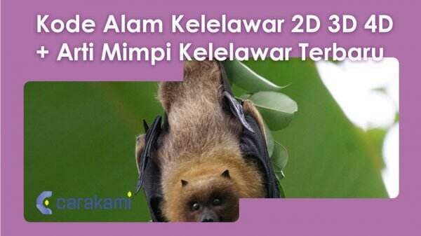 10+ Kode Alam Kelelawar 2D 3D 4D + Arti Mimpi Kelelawar Terbaru 10+ Kode Alam Kelelawar 2D 3D 4D + Arti Mimpi Kelelawar Terbaru