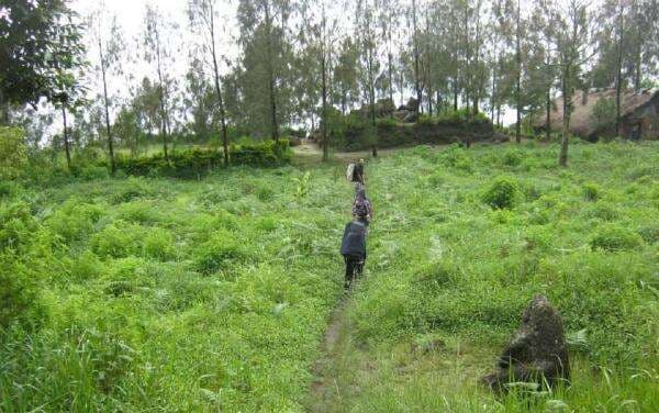 Jalur Pendakian Gunung Arjuno-Welirang, Pundak, dan Watu Jengger Ditutup